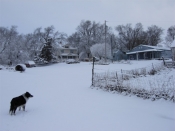 Thumbnail image of "snowy home"