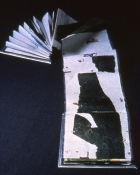 Thumbnail image of "Monoprint Book"